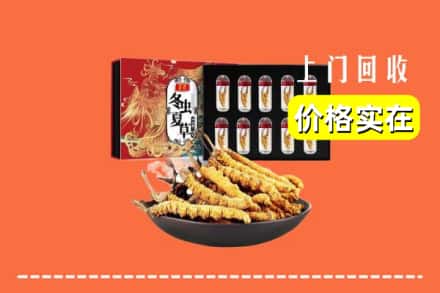 关岭县回收虫草